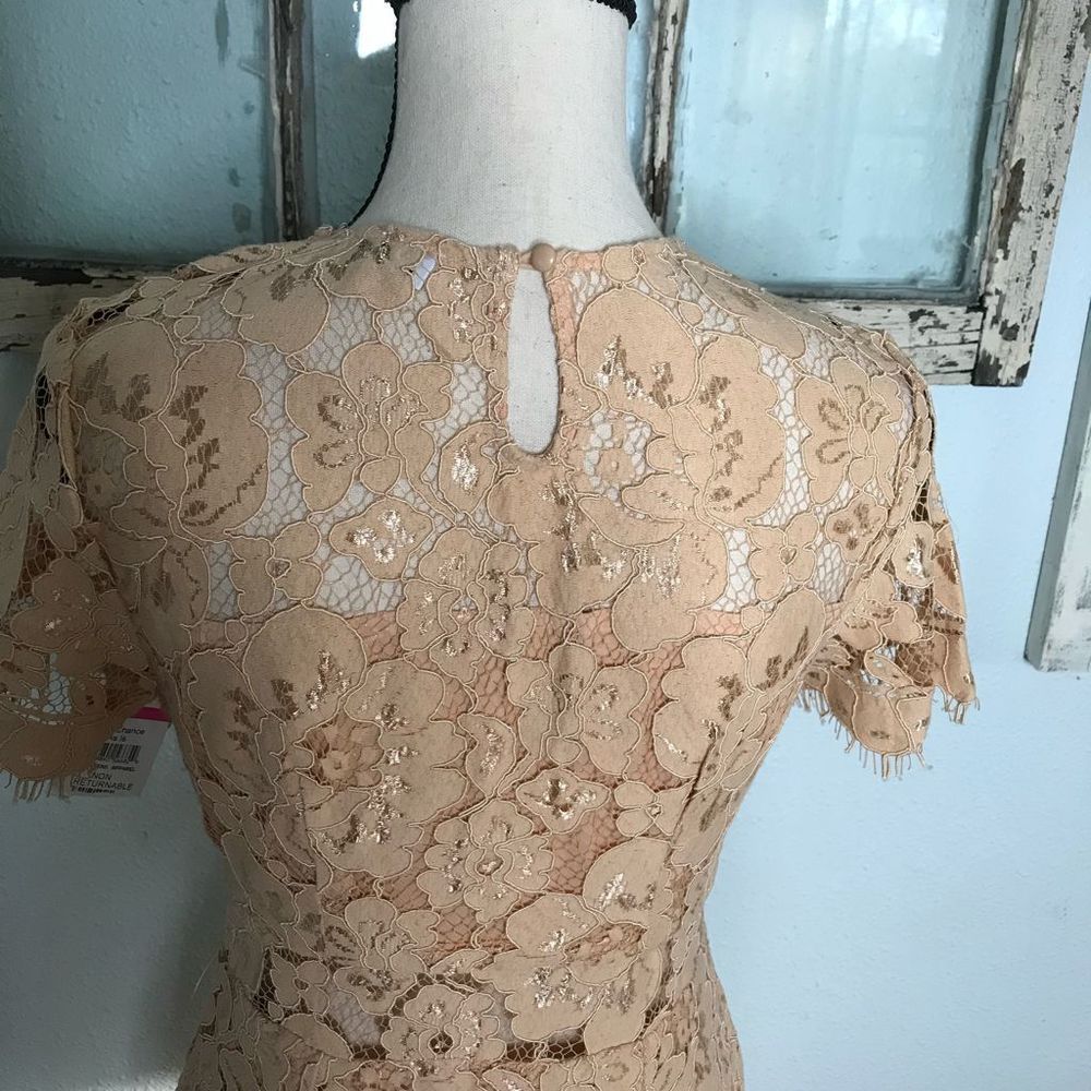 Beautiful NWT NSR Dress - Picture 9 of 14